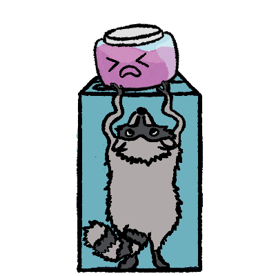 Raccoon animation web project